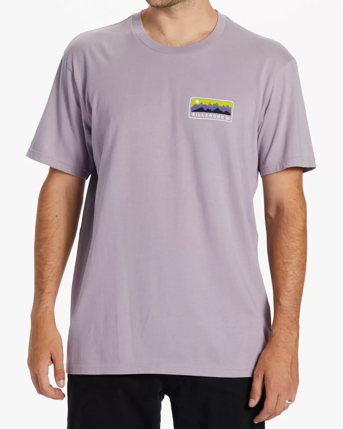 Hot Billabong Range T-Shirt PURPLE ASH