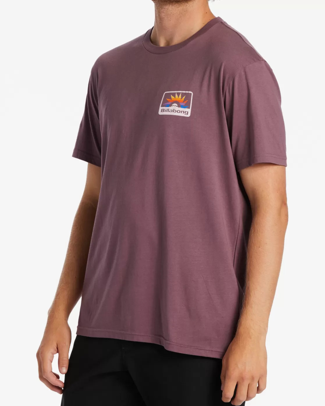 Cheap Billabong Walled T-Shirt VINTAGE VIOLET